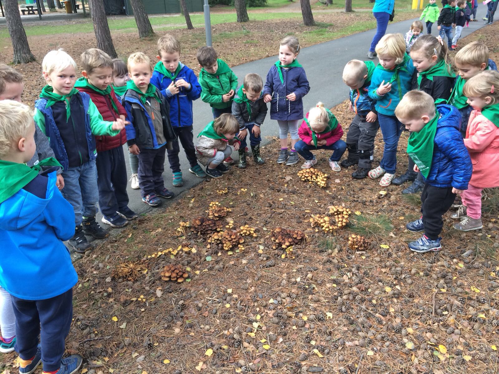 Herfstwandeling kleuters Stotert naar het Zilvermeer